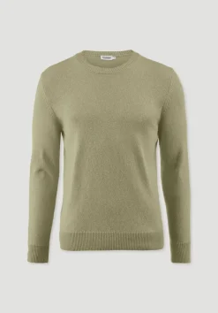 hessnatur Strick Pullover Regular aus Bio-Merinowolle mit Bio-Baumwolle von pastellmoos Online